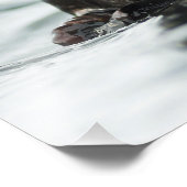 Wise Otter Fotodruck (Ecke)