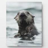 Wise Otter Fotoplatte (Vorderseite)