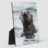 Wise Otter Fotoplatte (Seite)