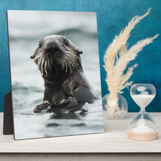 Wise Otter Fotoplatte (Seite)