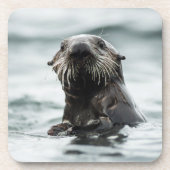 Wise Otter Getränkeuntersetzer (Vorderseite)