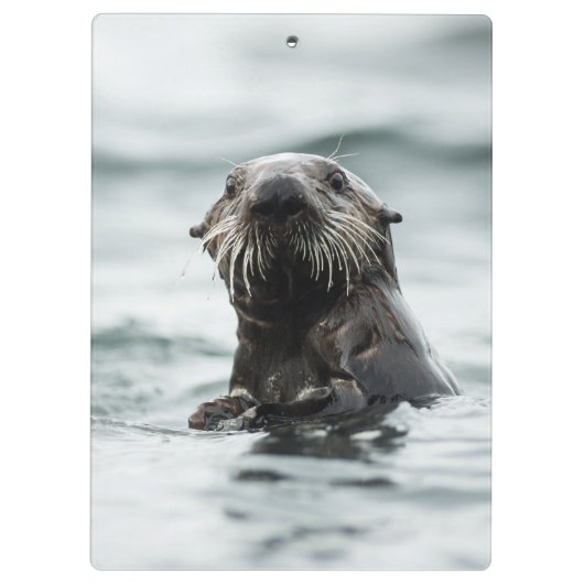 Wise Otter Klemmbrett (Rückseite)