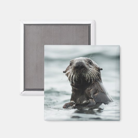 Wise Otter Magnet (Vorderseite/Rückseite)