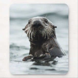 Wise Otter Mousepad