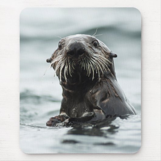 Wise Otter Mousepad (Vorne)