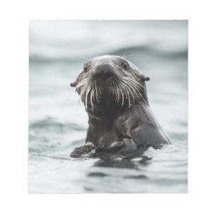 Wise Otter Notizblock