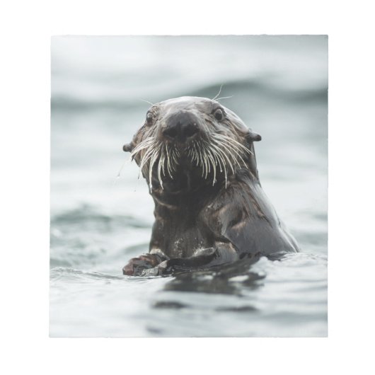 Wise Otter Notizblock (Vorderseite)