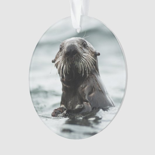 Wise Otter Ornament (Vorderseite)