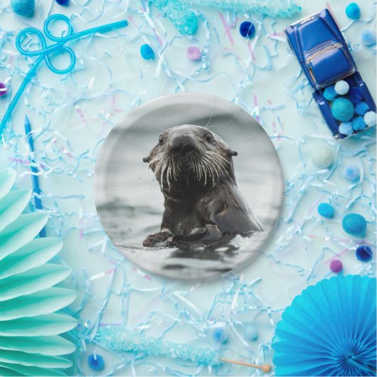Wise Otter Pappteller (Party)