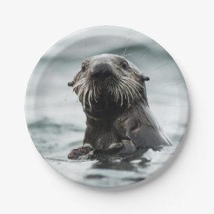 Wise Otter Pappteller