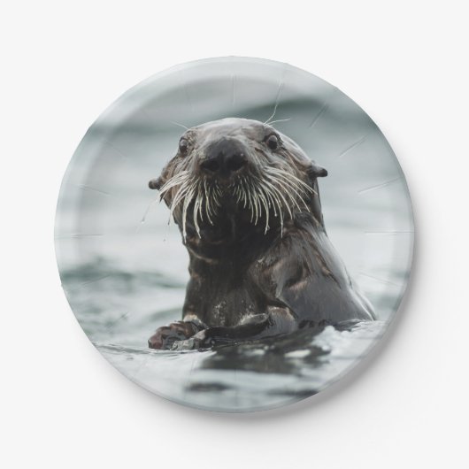 Wise Otter Pappteller (Vorderseite)