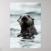 Wise Otter Poster (Vorne)