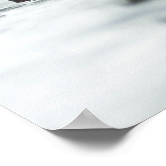 Wise Otter Poster (Ecke)