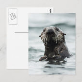 Wise Otter Postkarte (Vorne/Hinten)