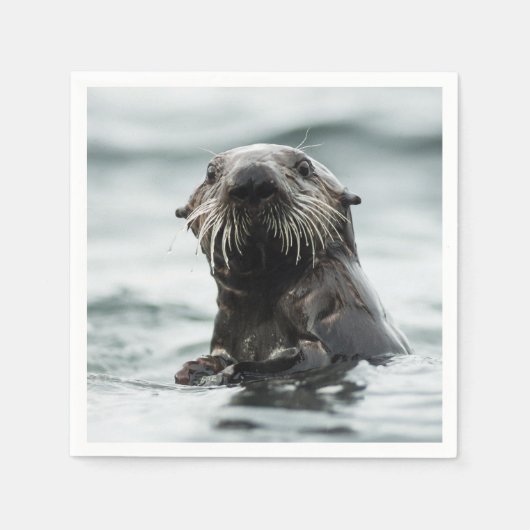 Wise Otter Serviette (Vorderseite)