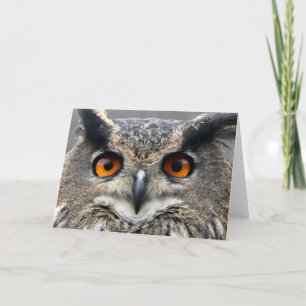 Wise Owl Fotograf Karte