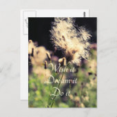 Wish Dream Do Postkarte (Vorne/Hinten)