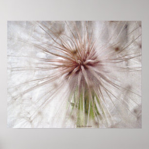 Wish Fulfillment Poster