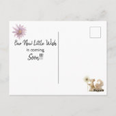 *~* Wish Mouse Dandelion Pregnancy Ankündigung Postkarte (Rückseite)