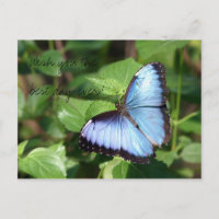 Wish you the best day ever!