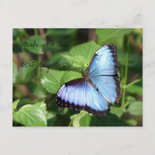 Wish you the best day ever! postkarte