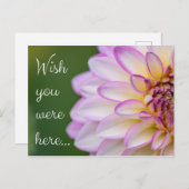 Wish you were here... postkarte (Vorne/Hinten)