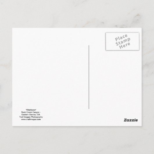 "Wishbone" Postkarte (Rückseite)