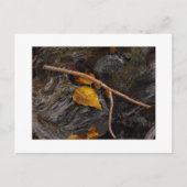 "Wishbone" Postkarte (Vorderseite)