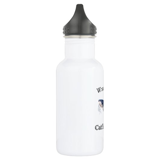 Wishin ich war Catfish Fishin Edelstahlflasche (Links)