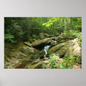 Wispering Falls Poster (Vorne)