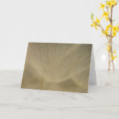 Wispy White Flower Karte (Gelbe Blume)