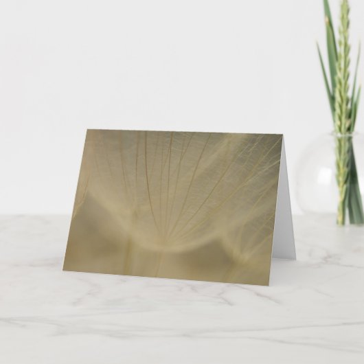 Wispy White Flower Karte (Vorderseite)