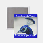Wissen ist Power-Magnet Magnet (Vorderseite/Rückseite)