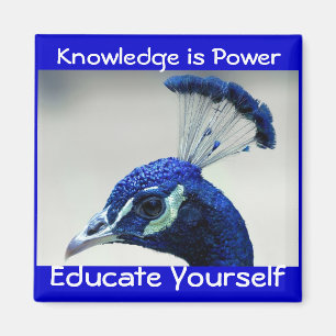 Wissen ist Powermagnet Magnet