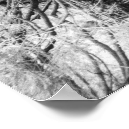 Wissen Poster (Ecke)