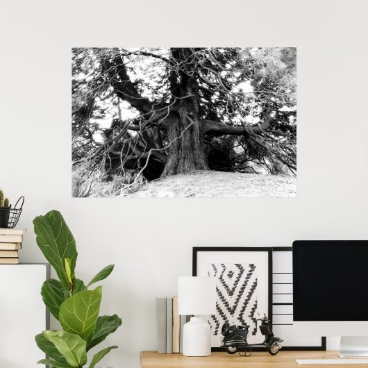 Wissen Poster (Heimbüro)