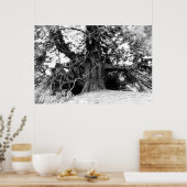 Wissen Poster (Küche)