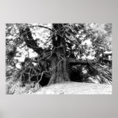 Wissen Poster (Vorne)