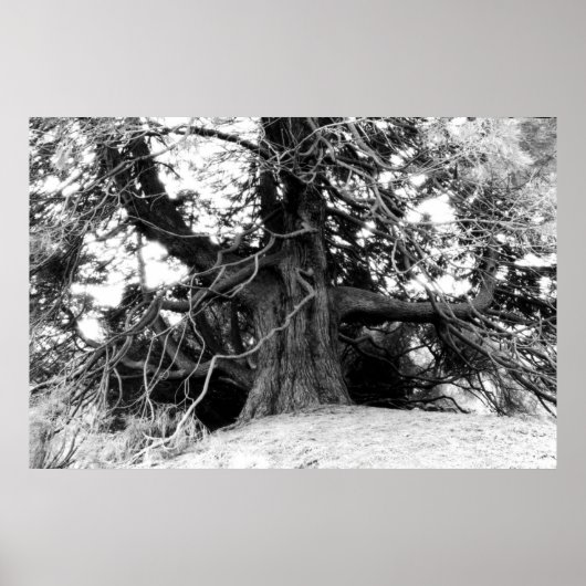 Wissen Poster (Vorne)