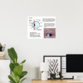 Wissenschaft, Biowissenschaft, das Auge Poster (Heimbüro)