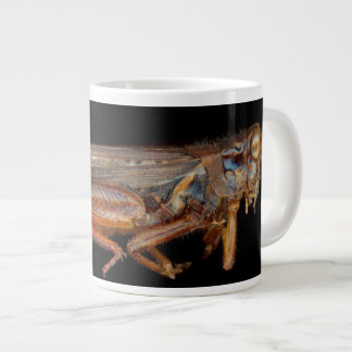 Wissenschaft - Entomologie - Das Spektrum Jumbo-Tasse