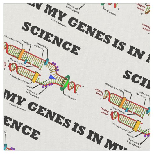 Wissenschaft ist in meiner Reproduktion der Stoff (Nahaufnahme)