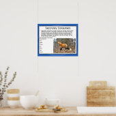 Wissenschaft, Lebensmittelkette, Sekundärverbrauch Poster (Küche)