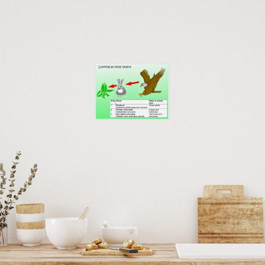 Wissenschaft, Nahrungsketten Poster (Küche)