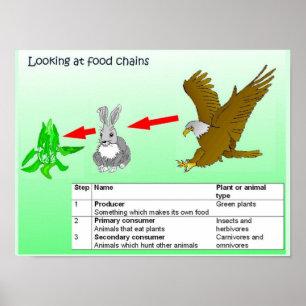 Wissenschaft, Nahrungsketten Poster