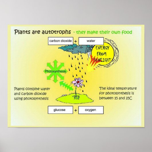 Wissenschaft, Pflanze, Autogramme, Lebensmittel Poster (Vorne)