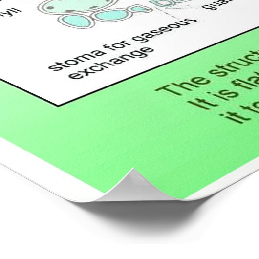 Wissenschaft, Pflanze, Blattstruktur Poster (Ecke)