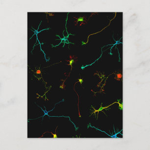 Wissenschaft Postkarte