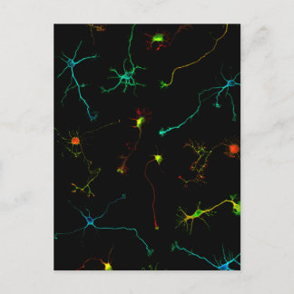 Wissenschaft Postkarte