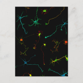 Wissenschaft Postkarte